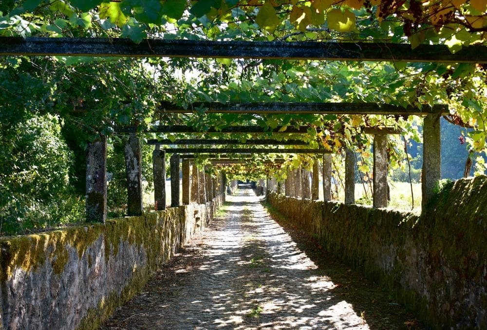 Este nuevo año, alójese en las Rías Baixas