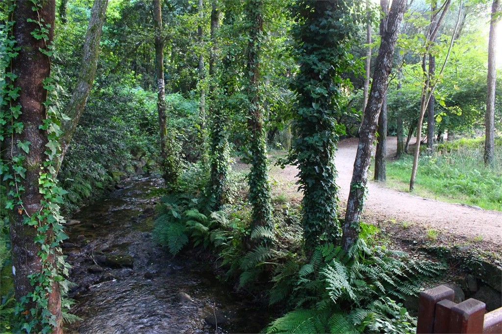 Ruta da Pedra e da Auga, ¿la conoce?