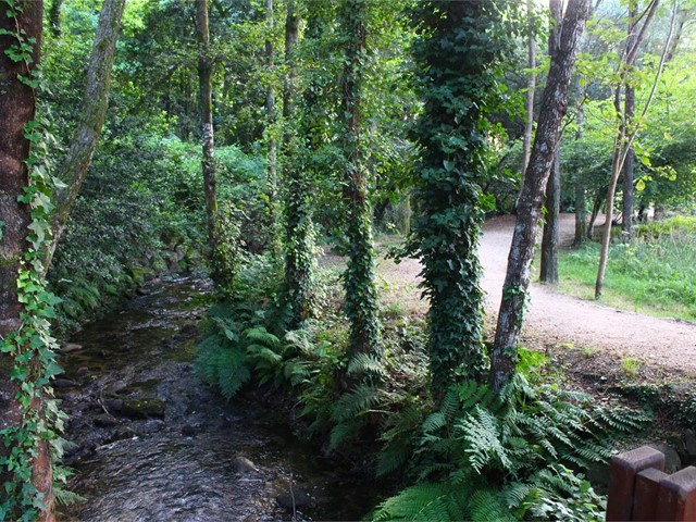 Ruta da Pedra e da Auga, ¿la conoce?